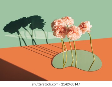Surreal floating flowers over the mirror, casting shadow on a two tone background. Modern, artistic floral concept.
