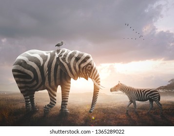 A surreal image of an African elephant wearing black and white zebra stripes - Shutterstock ID 1365289022