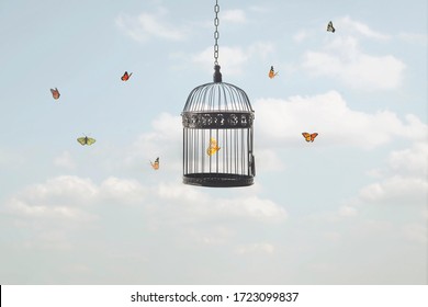 surreal image of a butterfly trapped in a cage and other free flying butterflies