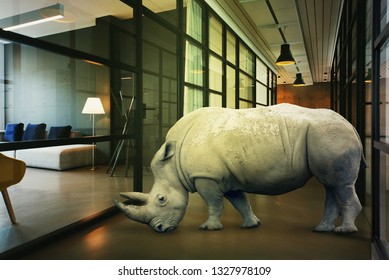 Surreal Image With A Rhino Standing In The Hallway Of An Office