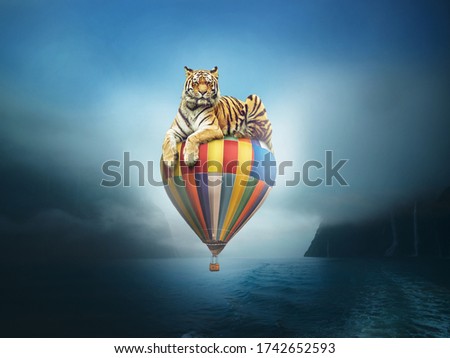 Surreal image of a tiger sitting on an air balloon floating above the river on a foggy day.