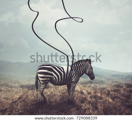 A surreal image of a zebra and two of its black stripes