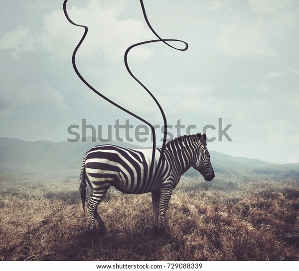 disponibile quadro - Tramonto simultaneo del sole africano e di una zebra -  Korcorai | PitturiAmo®