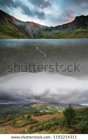 downpour Nature Landscape