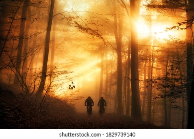 Surreal light mood in a forest, with the sun beams falling through the autumn fog and silhouettes of two people biking on a path