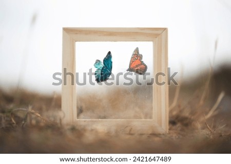 surreal meeting between two butterflies splits from a glass of a frame, concept of life