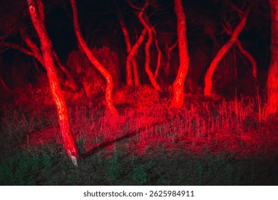 Surreal night forest scene bathed in intense red light, casting dramatic shadows on twisted tree trunks and wild undergrowth, evoking mystery, emotion, and cinematic tension in nature's raw form