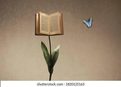 Surreal open book supported by a flower stem meets a colorful butterfly