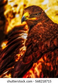 Surrealistic portrait of a steppe eagle on sandy background in sunlight,intense vibrant fantasy colors