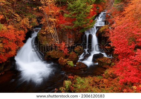 Surrounded by brilliant autumn foliage, Ryuzu Falls 竜頭の滝 is one of the three famous waterfalls in Oku-Nikko and flows into Lake Chuzenji, in Nikko National Park, Tochigi Prefecture, Japan 商業照片 © 