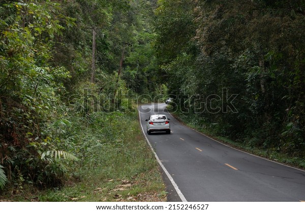 The surrounding roads are\
forested. A car drove past. Taken at Khao Yai National Park,\
Thailand.