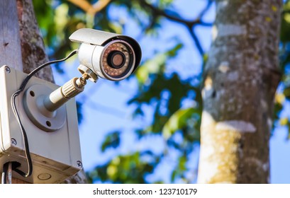 surveillance camera on the tree with blue sky