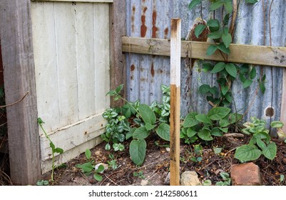 Survey Peg Property Fence Boundary Stock Photo 2142580611 | Shutterstock