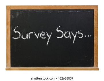 Survey Says Written In White Chalk On A Black Chalkboard Isolated On White