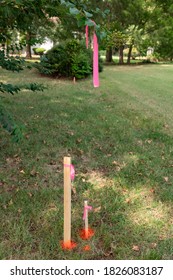 Survey stakes with orange pink ribbons indicating property lines with a shallow depth of field