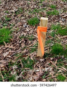 is it illegal to remove survey stakes