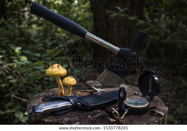 Survival camping tools hatchet and a compass ona\
tree trunk