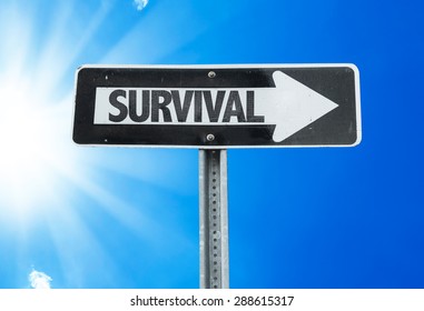 Survival Direction Sign With A Beautiful Day