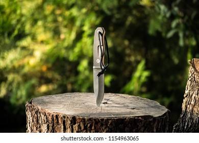 Survival Knife Sticking Out Wooden Stump Stock Photo 1154963065 ...