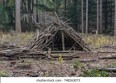 Survival Shelter In Forest