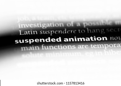 Suspended Animation Hd Stock Images Shutterstock