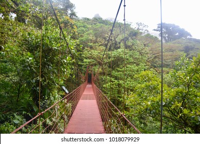 Suspended Bridge at the famous green Monteverde Cloud Forest, Monteverde, Costa Rica - Shutterstock ID 1018079929
