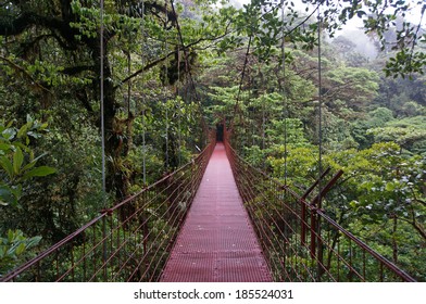 Suspended Bridge at Monteverde Cloud Forest,  Monteverde, Costa Rica - Shutterstock ID 185524031