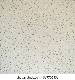 Acoustic Ceiling Tiles Stock Photos Images Photography