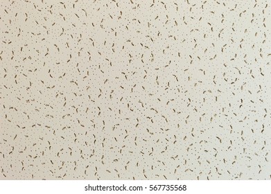 Laboratory Ceiling Stock Photos Images Photography Shutterstock