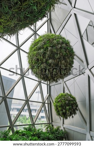 Suspended spherical plant installations inside bright glass interior with geometric framework and natural greenery modern eco design concept blending nature and architecture in clean space
