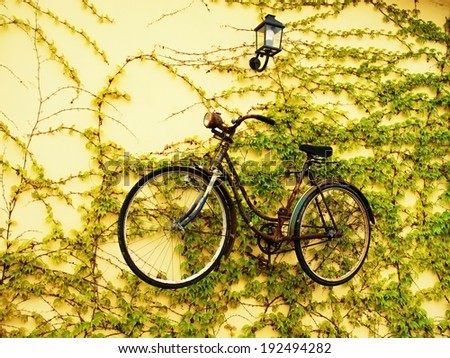 Similar – bike Autumn Bicycle