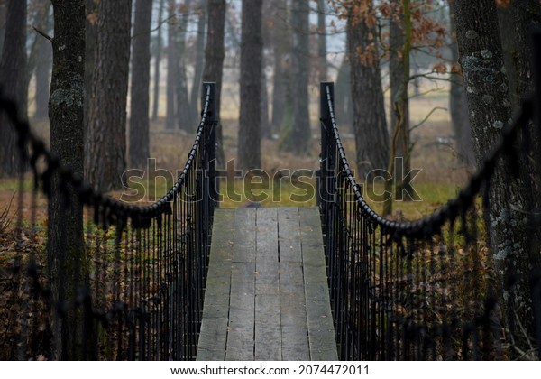 Suspension bridge.\
Suspension bridge in a\
forest