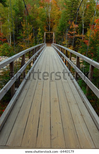 suspension bridge in\
forest