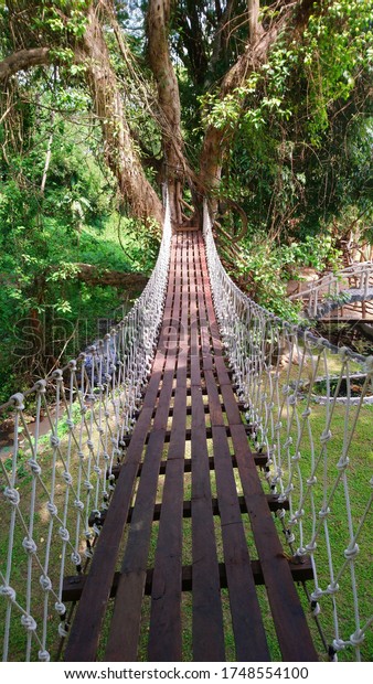 Suspension Bridge In the garden, the bridge floor\
is made of brown wood, fastened with nails. There is a white rope\
knitted into a mesh on the side. Hang next to two trees to use as a\
connecting walkway