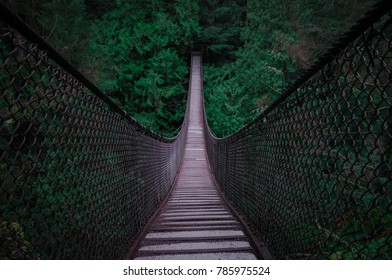 Suspension Bridge into Dark trees  - Powered by Shutterstock