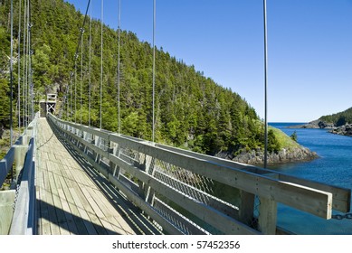 Suspension Bridge At La Manche Provincial Park