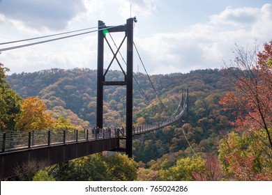 
Suspension Bridge of Maple