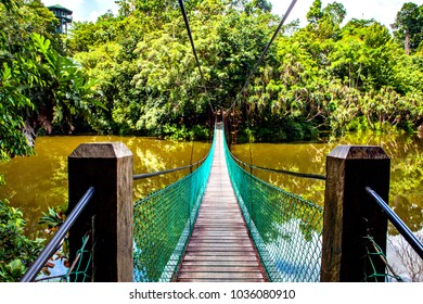 Die Hängebrücke über den See im Rain forest Discovery Centre in Sepilok, Borneo, Malaysia