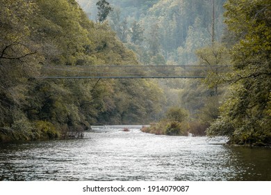 suspension bridge over river in a forest