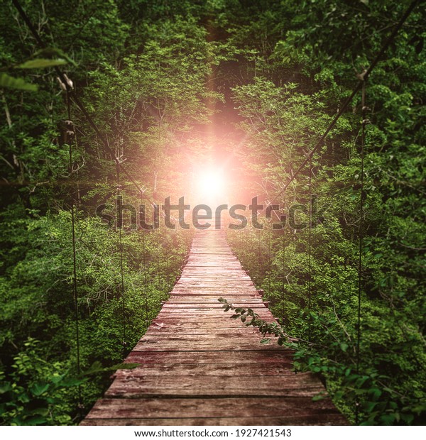 Suspension bridge. path to the\
light.