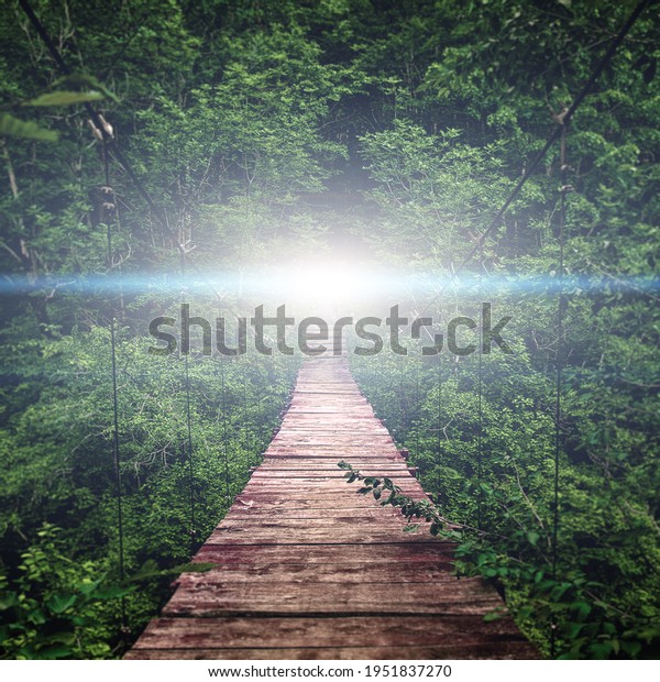 Suspension bridge. path to the\
light.