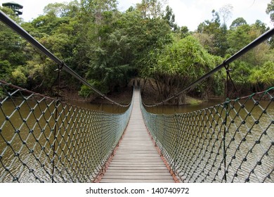 Suspension Bridge In The Rain Forest Of Malaysian Borneo