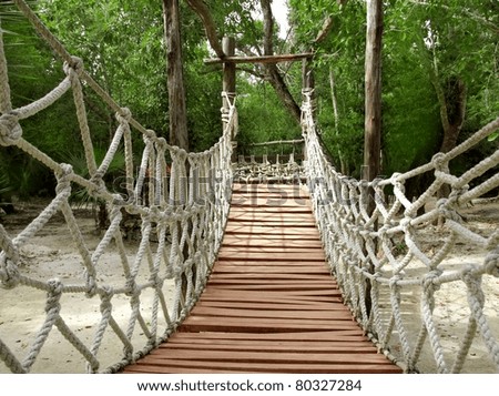 suspension bridge of ropes and woods for a jungle adventure