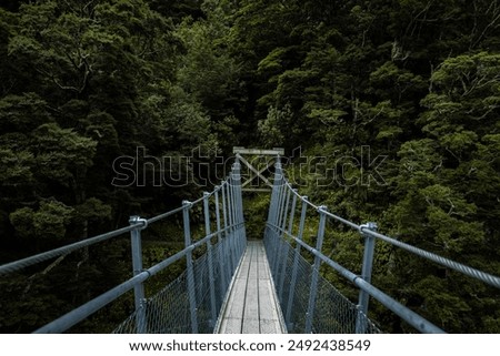 A suspension bridge spanning over a forest river, blending modern engineering with natural surroundings.