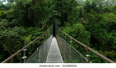Suspension bridge in tropical rain forest - Shutterstock ID 2210085043