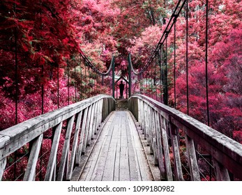 Suspension Bridge Victoria Australia Autumn Colours - Powered by Shutterstock