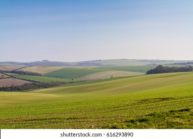 Sussex Patchwork Landscape