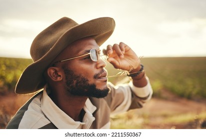 Sustainability, Farm And Agriculture With A Black Man Or Cowboy Farmer Chewing Straw In A Grass Field Or Meadow. Sustainable, Farming And Sustainable With A Young Male Working In Organic Ecology