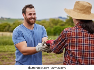 Sustainability Farmer, Agriculture Plant And Accountability Growth Mindset Couple With On A Farm, Countryside Field Or Nature. Happy Man And Woman With Smile Or Eco Environment Garden Farming