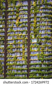 Sustainable Architecture. Full Frame Of Green Vertical Garden.